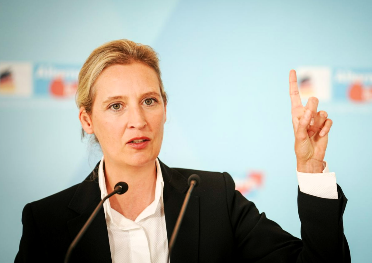 Umfrage-Hammer! AFD stürzt plötzlich ab! Massenproteste zeigen Wirkung gegen die Rechtspopulisten